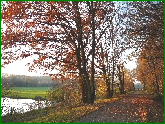 Etang - Alsace - Sundgau